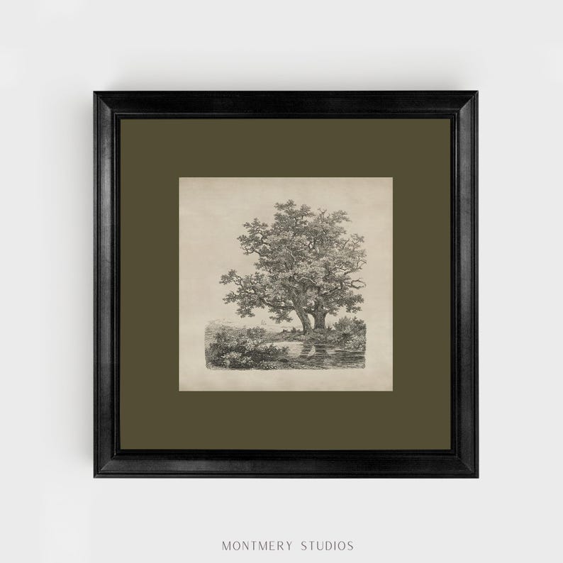 Antique tree etching, vintage forest landscape, square printable wall art with sage green mat, 19th century Dutch drawing, old oak trees by a lake, dark green nature sketch, classical tree illustration, rustic woodland decor, forest art print download, vintage-style landscape for gallery wall, Remigius Adrianus Haanen artwork, detailed tree line drawing, printable antique artwork for home decor