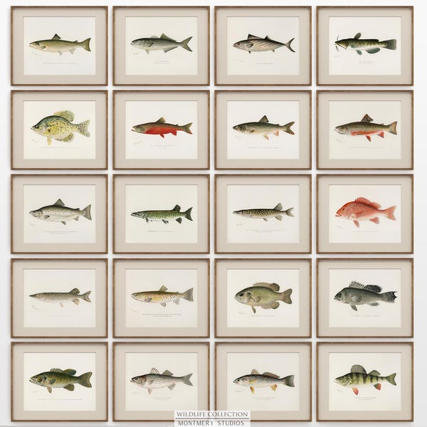 北米のヴィンテージゲームフィッシュ、湖畔の家の壁掛けアート20点セット、淡水魚プリント（デジタルダウンロード）