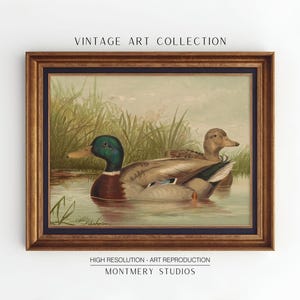 Stockente Entendrucke, Wildenten auf einem Teich, Vintage Entenplakat, wild lebende Tiere druckbare Kunst, Bauernhaus-Dekor, rustikale Wandkunst, AN46