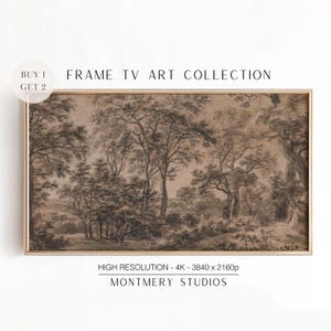 Vintage Moody Frame TV Art, Dark Fall Winter Landscape - Rustic Farmhouse Decor for TV, Dark Neutral Colors, W265