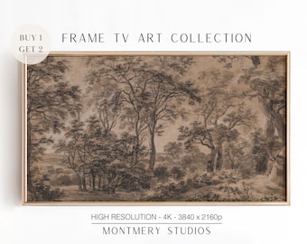 Vintage Moody Frame TV Art, Dark Fall Winter Landscape - Rustic Farmhouse Decor for TV, Dark Neutral Colors, W265