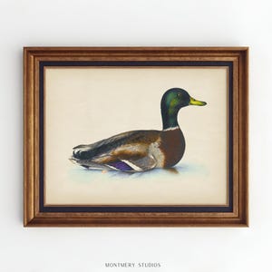 Vintage mallard duck print featuring a detailed rustic duck painting, perfect as nursery wall art or farmhouse decor. This antique duck print makes charming mallard nursery art for a boy’s bedroom, kids room animal art, or rustic nursery decor. Styled as a country animal print with soft tones, it fits perfectly in minimalist duck art displays, vintage nursery art collections, or country farmhouse interiors. Available as an instant digital download for easy printing at home.