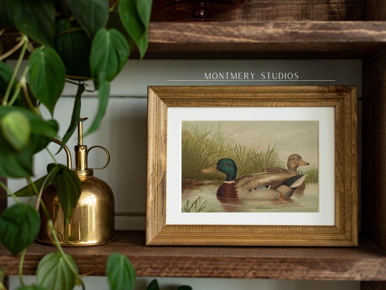 Mallard ducks on a pond art, vintage wildlife printable decor, rustic farmhouse duck wall art, antique duck poster for nursery, digital wild ducks artwork, country bedroom wall print, nature animal art, wildlife scene illustration, retro animal decor