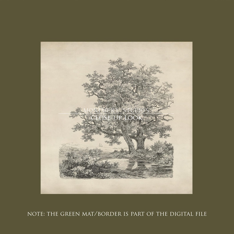 Antique tree etching, vintage forest landscape, square printable wall art with sage green mat, 19th century Dutch drawing, old oak trees by a lake, dark green nature sketch, classical tree illustration, rustic woodland decor, forest art print download, vintage-style landscape for gallery wall, Remigius Adrianus Haanen artwork, detailed tree line drawing, printable antique artwork for home decor