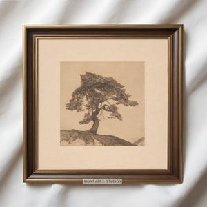 Antyczne drzewo, drzewo w wydruku krajobrazowym, kwadratowy wydruk, rysunek drzewa w stylu antycznym, szkic brązowego krajobrazu, neutralna sztuka ścienna, A5