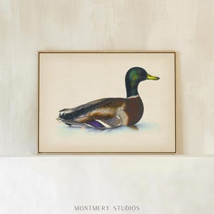 Vintage mallard duck print featuring a detailed rustic duck painting, perfect as nursery wall art or farmhouse decor. This antique duck print makes charming mallard nursery art for a boy’s bedroom, kids room animal art, or rustic nursery decor. Styled as a country animal print with soft tones, it fits perfectly in minimalist duck art displays, vintage nursery art collections, or country farmhouse interiors. Available as an instant digital download for easy printing at home.