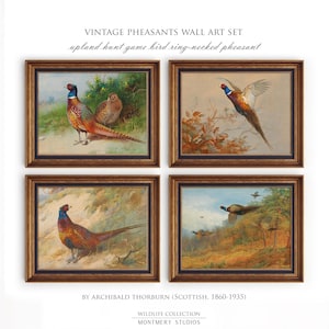 Könnte beinhalten: Set von vier Vintage-Rahmenbildern mit Fasanenillustrationen von Archibald Thorburn. Die Drucke zeigen Ringhalsfasane in verschiedenen Posen, darunter fliegend und auf Ästen sitzend. Die Drucke sind im rustikalen Stil mit einem braunen Rahmen.