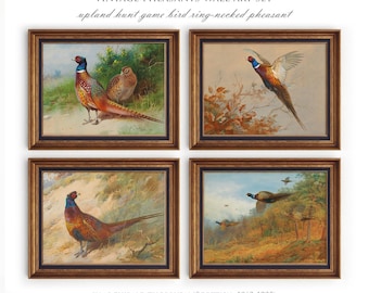 Vintage Ring Necked Pheasant Wall Art Set, Upland Hunt Game Bird Pheasant Prints, Rustic Hunting Lodge Decor, Cabin Wall Art, S031