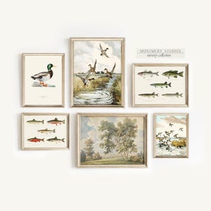 Watercolor fishing nursery art with ducks, mallard wall prints, bass and trout artwork for baby boy room, vintage-inspired fish illustrations, decorative fishing wall art for kids bedroom, playful fisherman theme decor, rustic nursery wall prints with freshwater fish, cozy boys room wall accents, charming angler artwork for children’s room, unique baby shower gift for fishing families