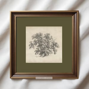 Antike Eiche Baum Druck, Vintage Quadrat Druckbar, Salbeigrün Matte, Antike Wald Skizze Kunst, Landschaftszeichnung, Dunkelgrüne Wandkunst, A8
