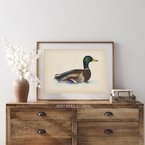 Vintage mallard duck print featuring a detailed rustic duck painting, perfect as nursery wall art or farmhouse decor. This antique duck print makes charming mallard nursery art for a boy’s bedroom, kids room animal art, or rustic nursery decor. Styled as a country animal print with soft tones, it fits perfectly in minimalist duck art displays, vintage nursery art collections, or country farmhouse interiors. Available as an instant digital download for easy printing at home.