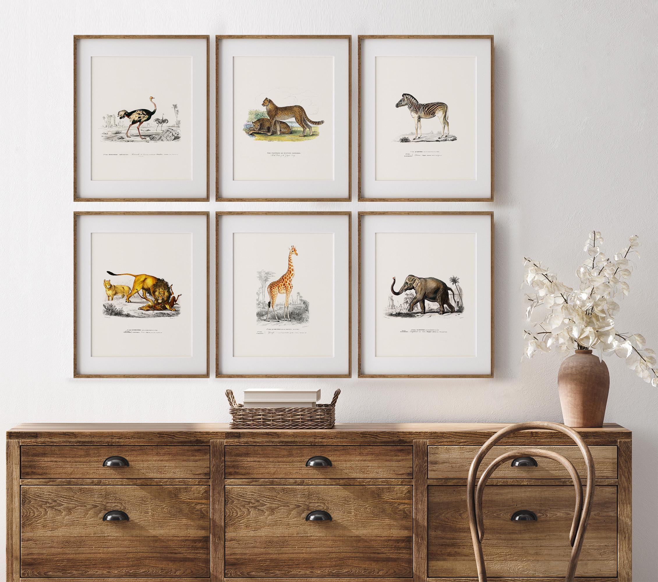 Safari Animal Prints Set of 12, Vintage Safari Nursery Wall Art ...