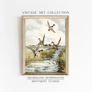 Set of 2 vintage duck prints, mallard and redhead ducks in a classic painting style, rustic farmhouse wall decor, wildlife artwork, nature prints, antique duck art, prints for vintage gallery walls, country home style, gift for wildlife nature lovers