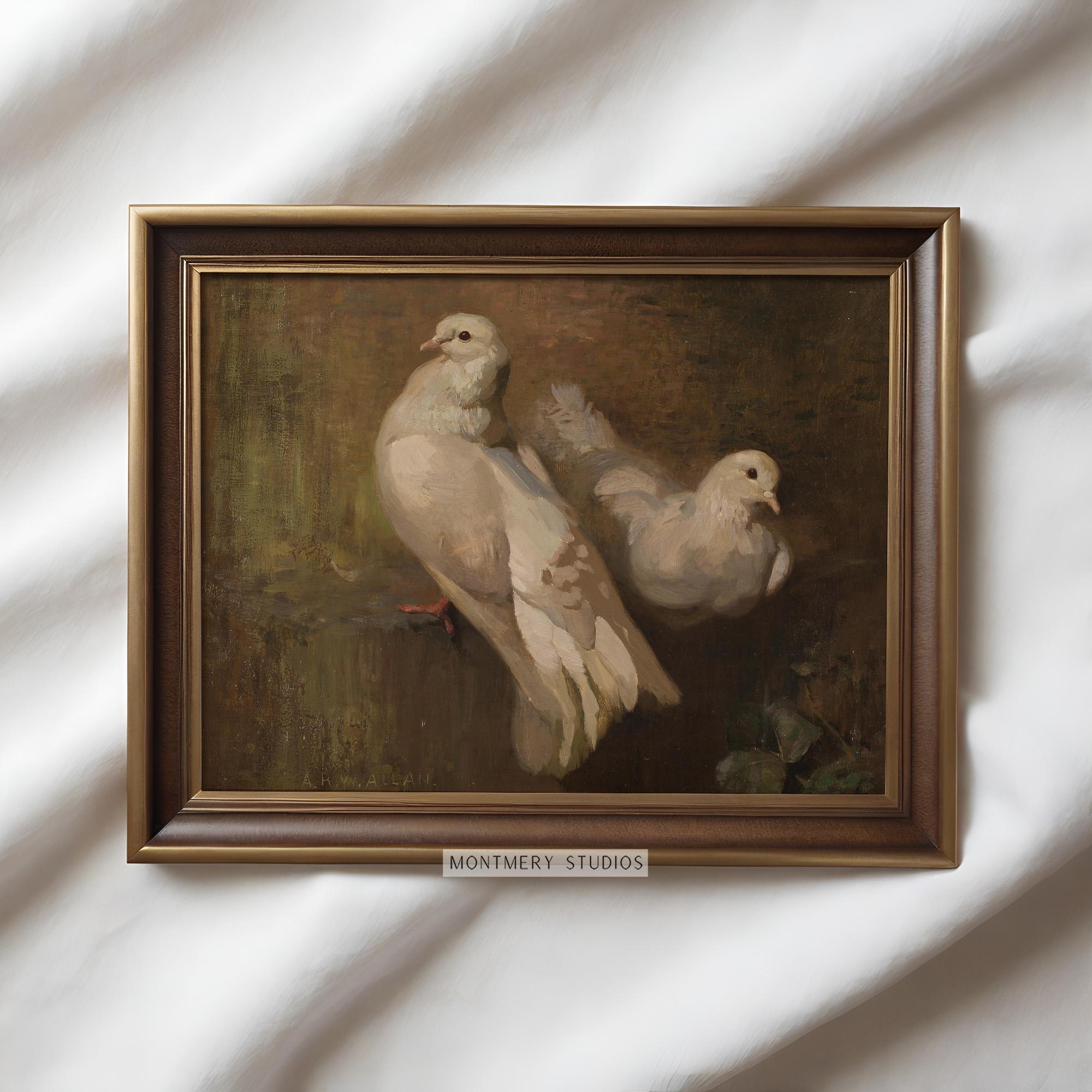 White fantail pigeon - Etsy 日本