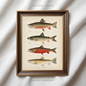 May include: A framed vintage print featuring four detailed illustrations of different trout species. The artwork includes the text "MONT MERY STUDIOS" at the top and "DIGITAL DOWNLOAD" at the bottom. The fish are depicted in various colors, including red, green, and brown.