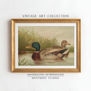 Mallard ducks on a pond art, vintage wildlife printable decor, rustic farmhouse duck wall art, antique duck poster for nursery, digital wild ducks artwork, country bedroom wall print, nature animal art, wildlife scene illustration, retro animal decor