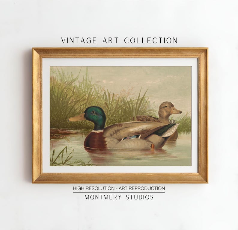 Mallard ducks on a pond art, vintage wildlife printable decor, rustic farmhouse duck wall art, antique duck poster for nursery, digital wild ducks artwork, country bedroom wall print, nature animal art, wildlife scene illustration, retro animal decor
