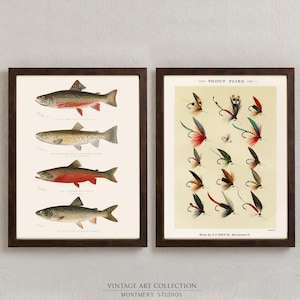 Trout Fishing Prints, Game Fishes of North America, Fishing Flies Art, Vintage Freshwater Fishes, Lake House and Fishing Cabin Decor, S020