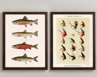 May include: Two framed prints, one with illustrations of four different trout species and the other with a collection of 20 trout flies. The fly print has the text "Trout Flies" and "Made by C.F. ORVIS. Manchester, Vt."