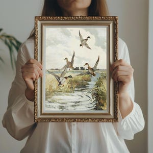 Set of 2 vintage duck prints, mallard and redhead ducks in a classic painting style, rustic farmhouse wall decor, wildlife artwork, nature prints, antique duck art, prints for vintage gallery walls, country home style, gift for wildlife nature lovers