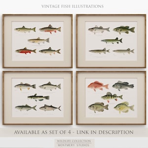 Vintage fish wall art for lake house, freshwater trout prints for rustic decor, North American game fish illustrations, antique fishing artwork, digital fish art bundle for anglers, unique nature wall decor, printable fish paintings for cozy cabin