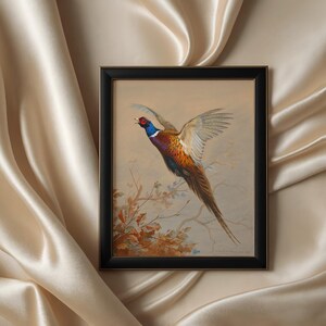 Flying ring-necked pheasant, vintage wildlife, colorful game bird art print, rustic hunting scene decor, American countryside bird in flight, nature wall art, antique pheasant artwork for hunters, classic bird illustration for home decor
