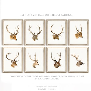 Vintage Hirschkopf Drucke, 8er Set, Jagdhaus Dekor, Rustikale Hütte Wand Kunst, Antike Illustrationen, Geschenk für Hirsch Jäger, S025