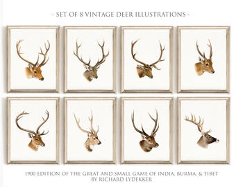 Vintage Deer Head Prints, Set of 8, Hunting Lodge Decor, Rustic Cabin Wall Art, Antique Wildlife Illustrations, Gift for Deer Hunters, S025