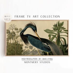 Art mural héron cadre, peinture animalière vintage pour cadre TV, art moderne pour TV, téléchargement numérique, art animalier pour TV, AN2