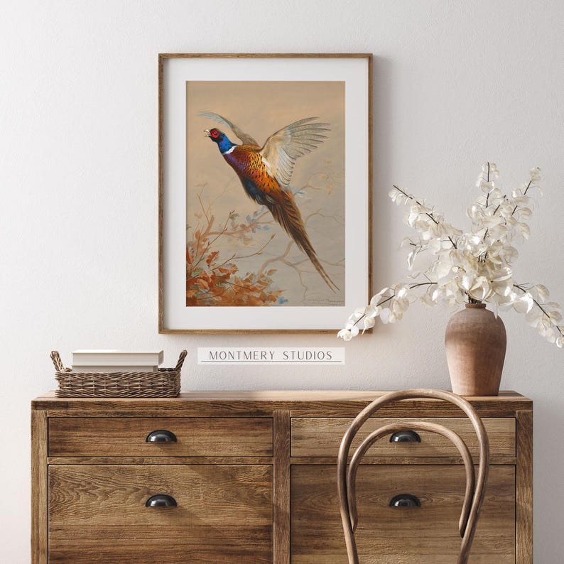 Flying ring-necked pheasant, vintage wildlife, colorful game bird art print, rustic hunting scene decor, American countryside bird in flight, nature wall art, antique pheasant artwork for hunters, classic bird illustration for home decor
