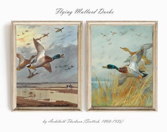 Stampe vintage di anatre selvatiche, set di 2, stampe di anatre volanti e uccelli acquatici, decorazioni murali rustiche in stile fattoria, decorazioni murali con animali selvatici, decorazioni per baite di campagna, S032