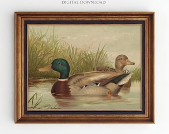 Stampe di anatre selvatiche, anatre selvatiche su uno stagno, poster vintage di anatre, stampe artistiche di animali selvatici, decorazioni con animali da fattoria, arte murale digitale rustica AN46