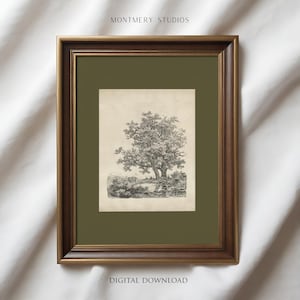May include: Framed black and white tree illustration. The artwork features a detailed drawing of a large tree with a full canopy, set against a light background. The frame is a dark brown color, and the matting is olive green. The text "MONTEMERY STUDIOS" and "DIGITAL DOWNLOAD" are visible.