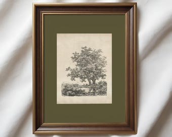 Vintage eikenboom ets, verticale landschapskunst met olijfgroene mat, antieke bos tekening print, landschapsschets, saliegroene muurkunst