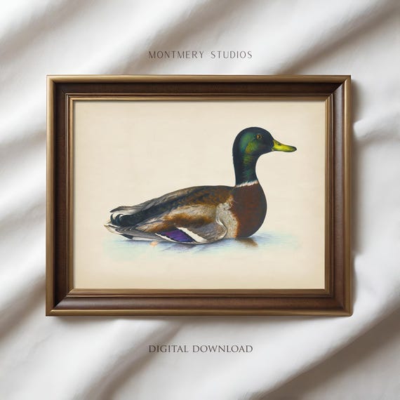 Vintage Mallard Duck Print, Mallard Nursery Wall Art, Rustic Duck Painting, Country Farmhouse Art, Antique Duck Print Digital Download AN117