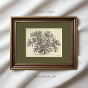 Drukowana akwaforta z dębem, rysunek ołówkiem starego drzewa, stonowana, ciemnozielona sztuka ścienna do sypialni, oliwkowozielona sztuka ścienna, szkic w stylu vintage A16