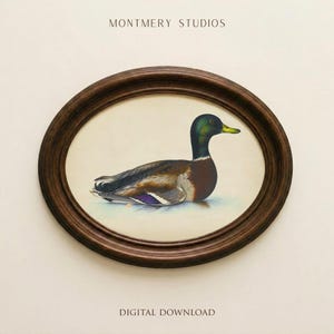 Vintage mallard duck print featuring a detailed rustic duck painting, perfect as nursery wall art or farmhouse decor. This antique duck print makes charming mallard nursery art for a boy’s bedroom, kids room animal art, or rustic nursery decor. Styled as a country animal print with soft tones, it fits perfectly in minimalist duck art displays, vintage nursery art collections, or country farmhouse interiors. Available as an instant digital download for easy printing at home.