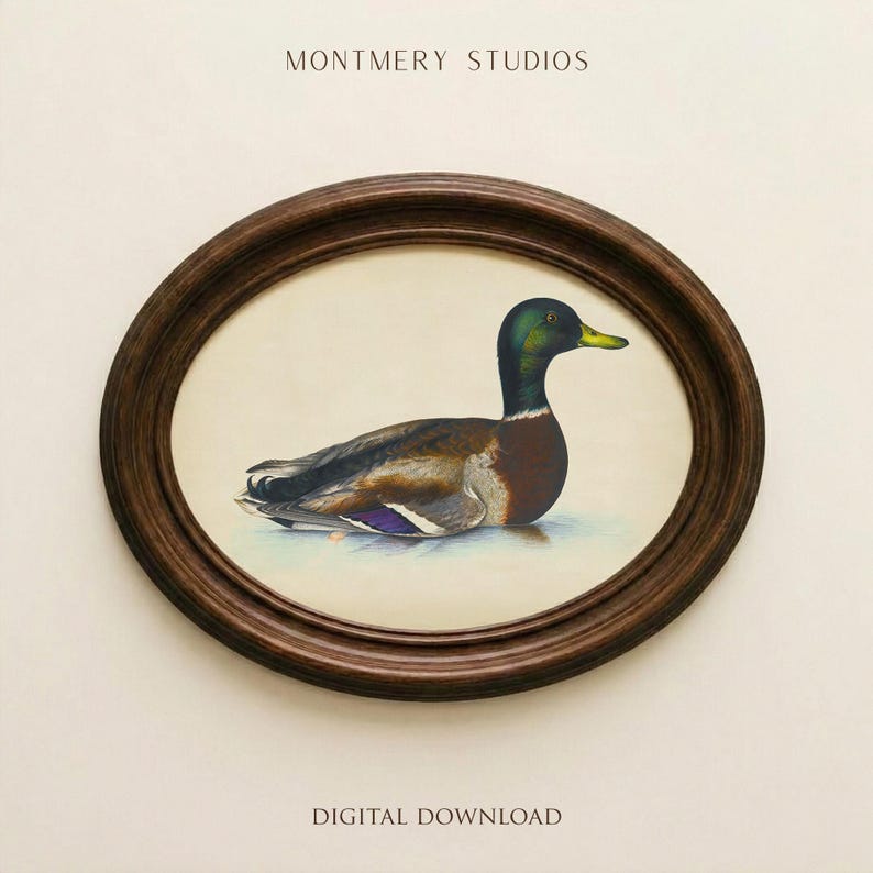 Vintage mallard duck print featuring a detailed rustic duck painting, perfect as nursery wall art or farmhouse decor. This antique duck print makes charming mallard nursery art for a boy’s bedroom, kids room animal art, or rustic nursery decor. Styled as a country animal print with soft tones, it fits perfectly in minimalist duck art displays, vintage nursery art collections, or country farmhouse interiors. Available as an instant digital download for easy printing at home.