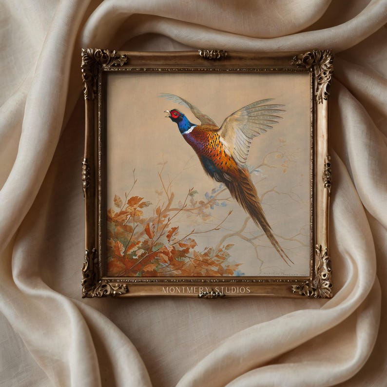 Flying ring-necked pheasant, vintage wildlife, colorful game bird art print, rustic hunting scene decor, American countryside bird in flight, nature wall art, antique pheasant artwork for hunters, classic bird illustration for home decor