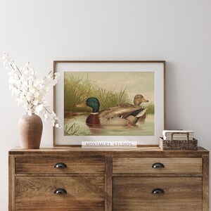 Mallard ducks on a pond art, vintage wildlife printable decor, rustic farmhouse duck wall art, antique duck poster for nursery, digital wild ducks artwork, country bedroom wall print, nature animal art, wildlife scene illustration, retro animal decor