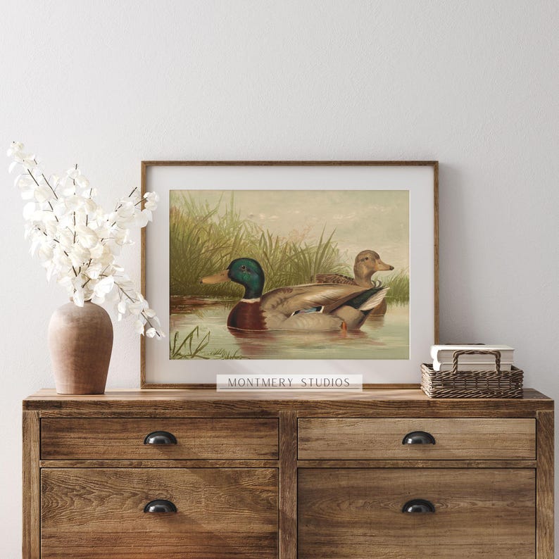 Mallard ducks on a pond art, vintage wildlife printable decor, rustic farmhouse duck wall art, antique duck poster for nursery, digital wild ducks artwork, country bedroom wall print, nature animal art, wildlife scene illustration, retro animal decor