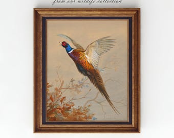 Ring-Necked Pheasant Flying, Vintage Wildlife Print, Common Pheasant Hunting Art, American Game Bird Decor, Printable Wall Art, AN60