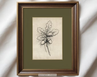 Boceto de bellota vintage, rama de roble con bellotas, roble, arte verde salvia oscuro, arte imprimible otoñal, arte mural verde oliva, descarga digital, tamaño A17