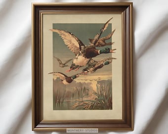 Flying Mallard Ducks Poster, Vintage Upland Hunt Print, Antique Waterfowl Art, Retro Hunting Lodge Decor, Cabin Art, Lake House Decor, AN69