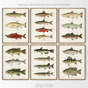 Vintage Freshwater Fish Art Prints Set of 6, Trout Fishing Gifts for him, Largemouth Bass Fishing, Lake House Decor, Salmon, Pike, Perch, C9
