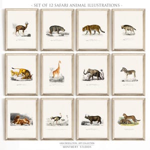Safari Animal Prints Set of 12, Vintage Safari Nursery Wall Art, African Savanna Wildlife Art, Elephant, Giraffe, Zebra, Lion Decor, S038