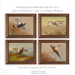 Set di 4 stampe murali con uccelli da caccia vintage, decorazioni per la caccia in montagna, stampa di fagiano dal collare, fagiano di monte, pernice, Blackgame Artworks, S030
