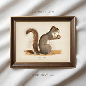 Vintage Squirrel Illustration Print, Rustic Woodland Animal Drawing Wall Art, Cottagecore Decor (Digital Download)