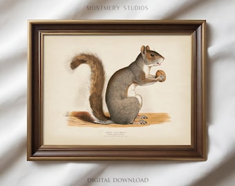 Vintage Squirrel Illustration Print, Rustic Woodland Animal Drawing Wall Art, Cottagecore Decor (Digital Download)