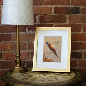 Flying ring-necked pheasant, vintage wildlife, colorful game bird art print, rustic hunting scene decor, American countryside bird in flight, nature wall art, antique pheasant artwork for hunters, classic bird illustration for home decor